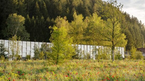 GrueneErde_1_1920x1080