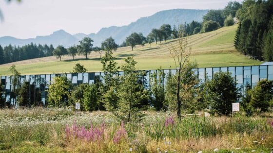 GrueneErde_3_1920x1080